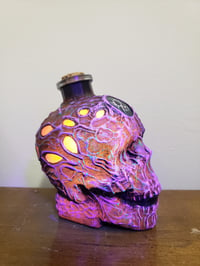 Image 1 of Otherworldly Fungus Skull Bottle