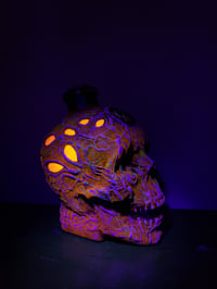 Image 2 of Otherworldly Fungus Skull Bottle