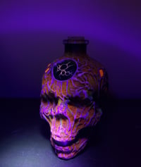 Image 5 of Otherworldly Fungus Skull Bottle