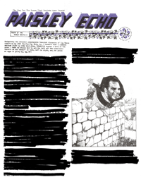 Image 1 of Paisley Echo