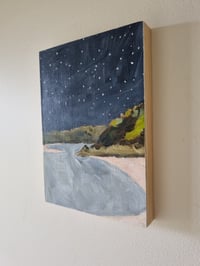 Image 3 of Tuross study II