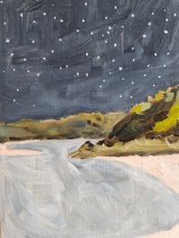 Image 1 of Tuross study II