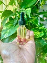 Image 3 of Rose Infused Beauty Oil