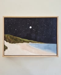 Image 2 of The serious moonlight