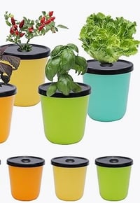 Hydroponics Cups 