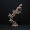 Rock #44