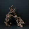 Rock #38