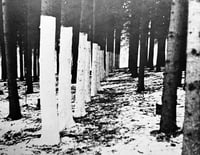 Image 2 of AVALANCHE NO. 1  - FALL 1970 [JOSEPH BEUYS COVER]