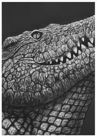 Image 1 of The Nile Crocodile A sized prints