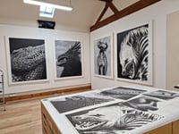 Image 4 of The Spotted Hyena A sized prints