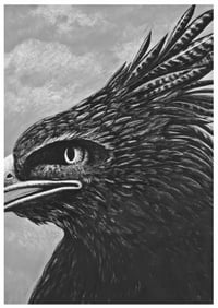 Image 1 of The Crested Eagle A sized prints