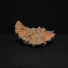 Bowl #86