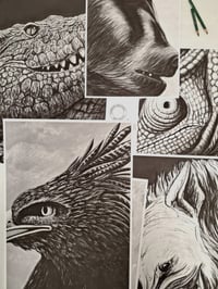 Image 5 of The Crested Eagle A sized prints