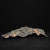 Slab #43
