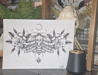 Image 2 of A4 Death Moth Print