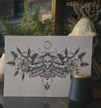 Image 1 of A4 Death Moth Print