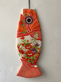 Koya Koi Fish
