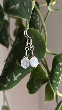Image 5 of Moonstone Earrings