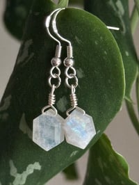 Image 2 of Moonstone Earrings