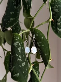 Image 4 of Moonstone Earrings