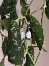Image 1 of Moonstone Earrings