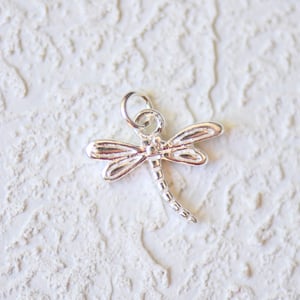 Image of Silver - Cute Critters