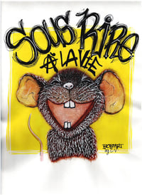 ZAMINOW - Souris