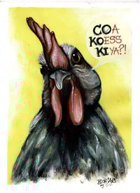 ZAMINOW - Coq