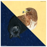 Image 1 of 1985 Ladyhawke Fantasy Fine Art Print 