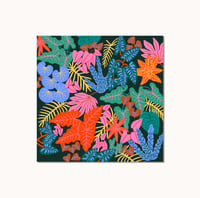 Image 2 of Carte postale - Plantes