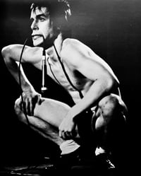 Image 2 of IGGY POP - I NEED MORE, I NEED MORE: THE STOOGES AND OTHER STORIES