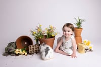 Image 1 of EASTER BUNNIES { £20 RETAINER ONLY }