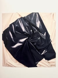 Image 4 of STEVEN PARRINO - GAGOSIAN GALLERY - NEW YORK 25.9. / 3.11.2007