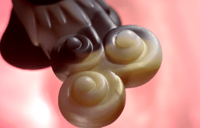 Image 4 of Chime