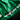 Short Never Green