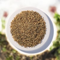 Organic Elderflower (bulk)