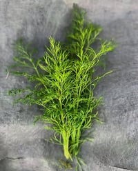 Image 5 of Dill Seeds