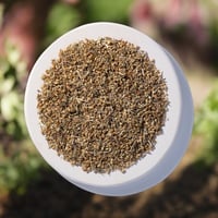 Organic Yarrow Flower (bulk)