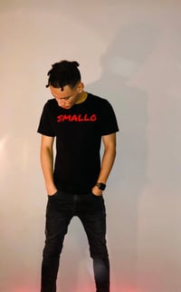 Image 2 of SMALLO Split Colour Tee 