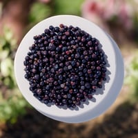 Organic Juniper Berries (bulk)