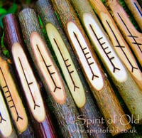 Image 3 of Tree Speak Corresponding Ogham Staves (D060-3)