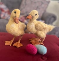 Image 2 of Pair of ducklings