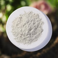 Bentonite Clay (bulk)