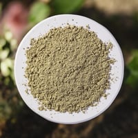 Organic Kelp Powder (bulk)