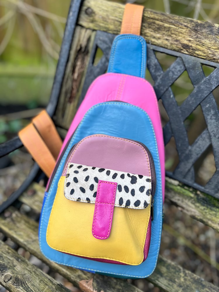 Image of Harlequin Collection - Multicoloured Crossbody One Strap #9B