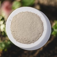 Organic Irish Moss Powder (bulk)