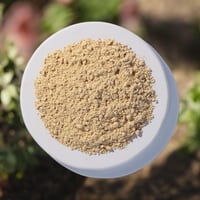 Organic Ginger Root Powder (Bulk)