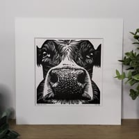 Image 2 of Moo-dy Cow