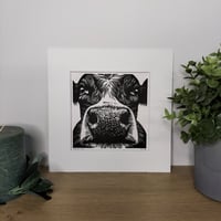 Image 1 of Moo-dy Cow