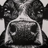 Image 3 of Moo-dy Cow